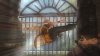 DEAD OR ALIVE 5 Last Round_20151014224950.jpg