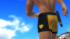DEAD OR ALIVE 5 Last Round_20160217144253.png