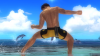 DEAD OR ALIVE 5 Last Round_20160217145202.png