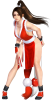 Mai_Shiranui_-_DoA5LR.png