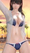 DEAD-OR-ALIVE-Xtreme-Venus-Vacation-Screenshot-2021.04.01---20.14.31.jpg