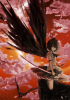 4d54700122f9beaaade0dba65e7f312b.png