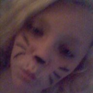 KittenJoy
