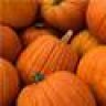 EyeLovePumpkins