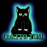 gatto tom