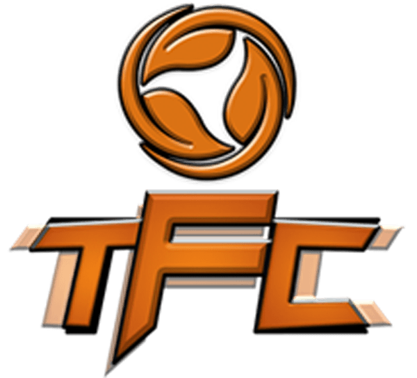 TFC 2019 - Dead or Alive 6